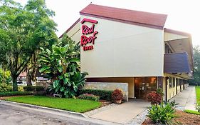 Red Roof Inn Tampa Fairgrounds - Casino